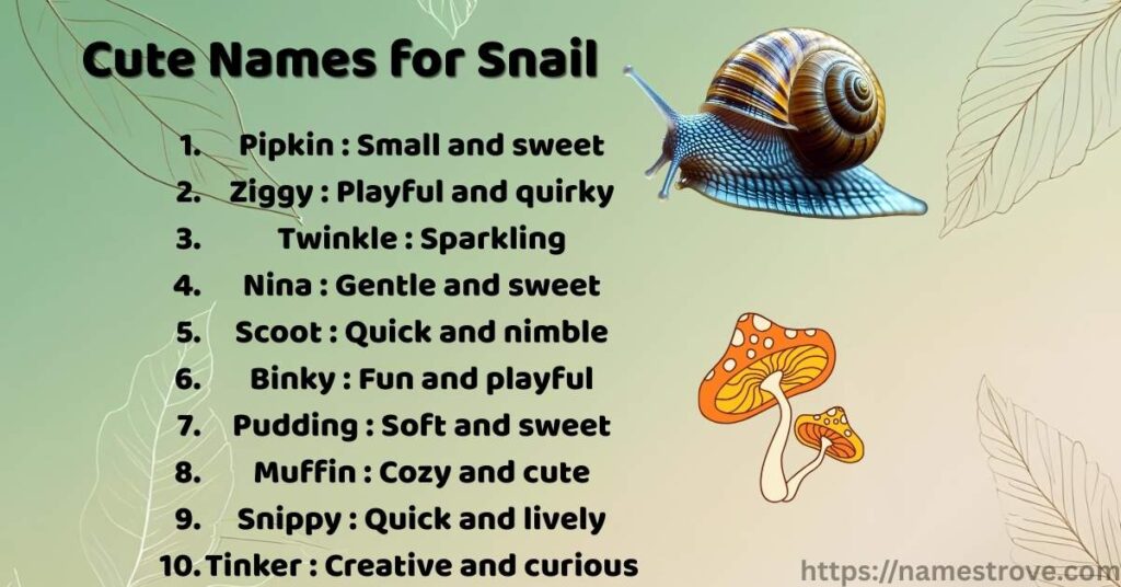 Cute Names for Snail