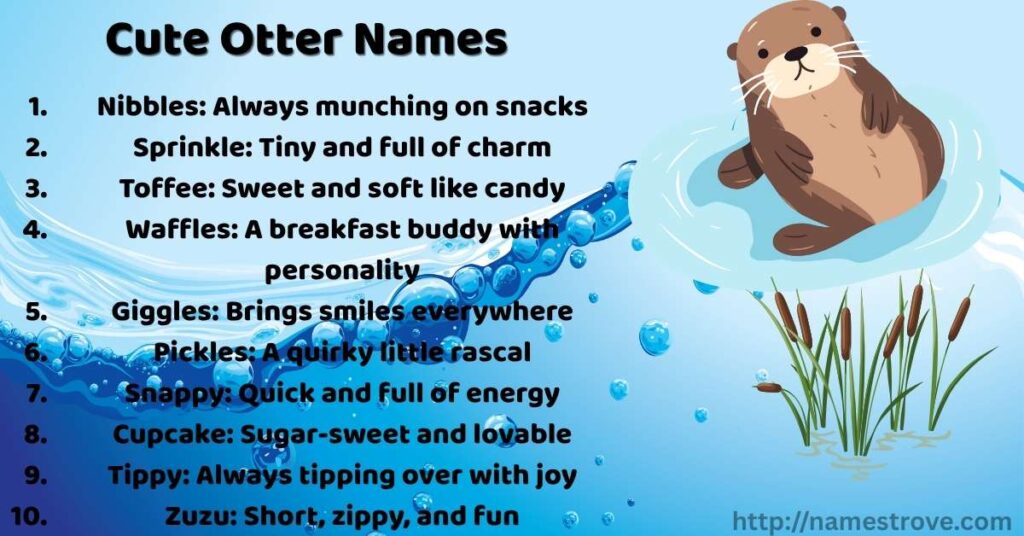 Cute Otter Names