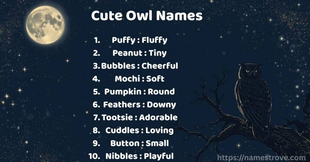 Cute Owl Names