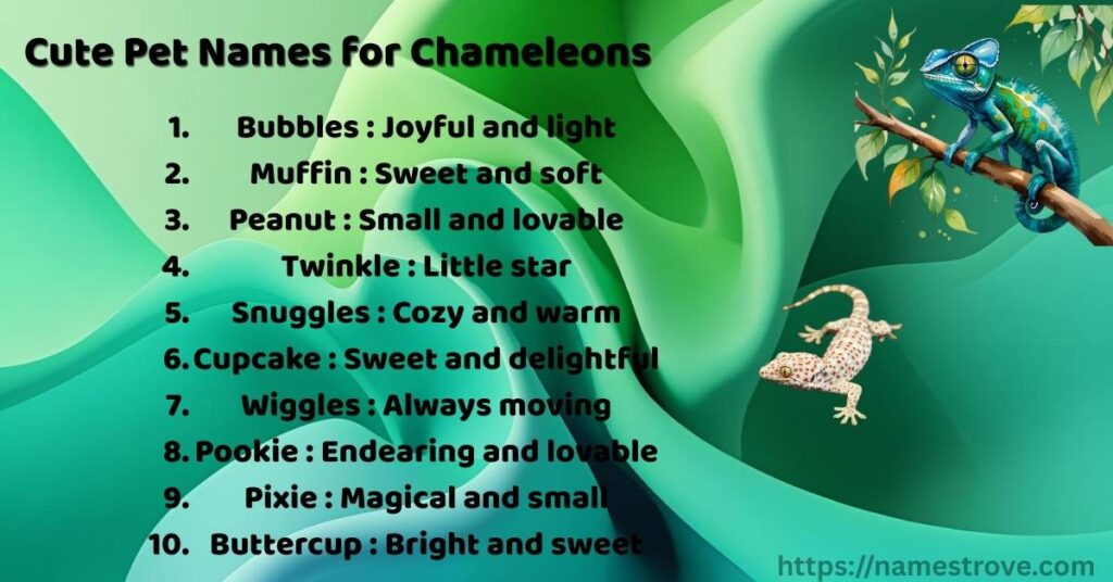 Cute Pet Names for Chameleons