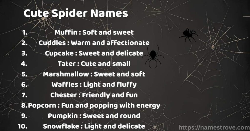 Cute Spider Names
