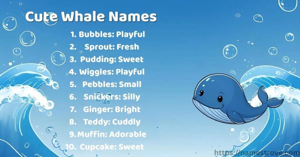 Cute Whale Names