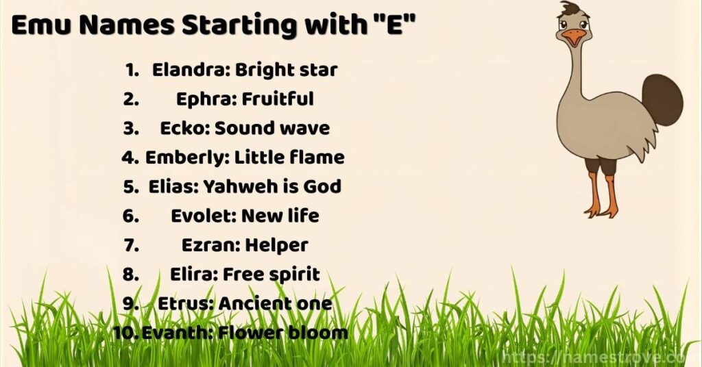 Emu Names Starting with E