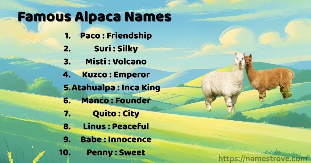 Famous Alpaca Names