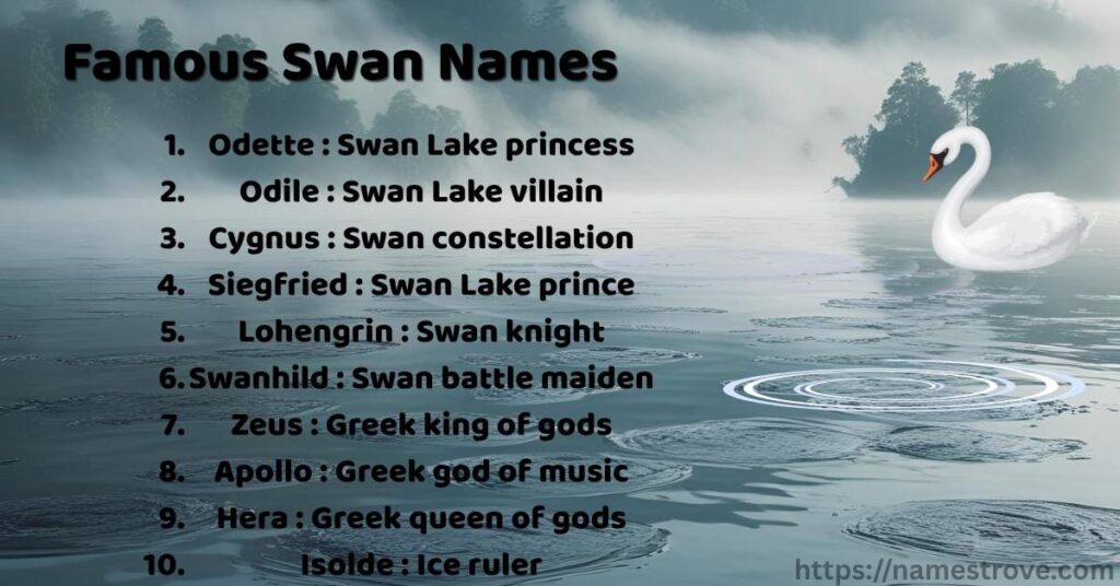 Famous Swan Names