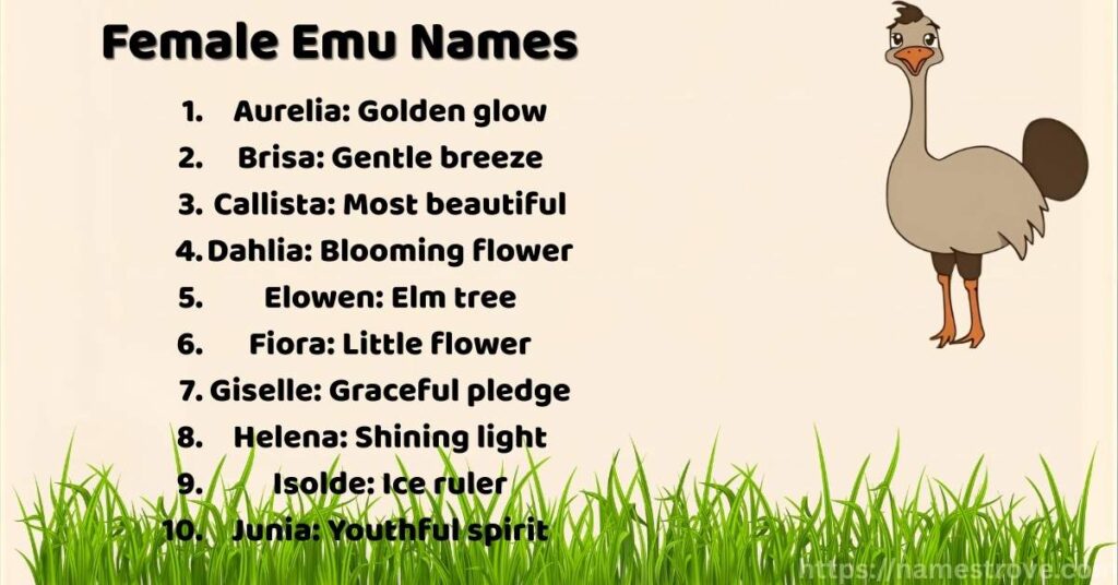 Female Emu Names