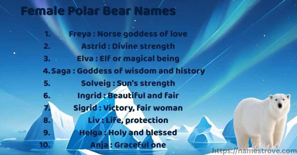 Female Polar Bear Names