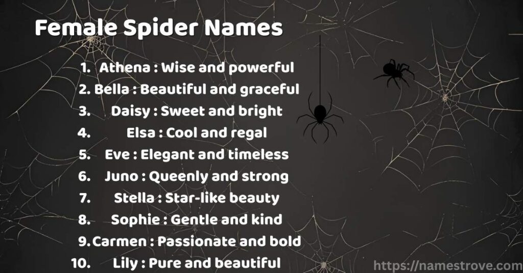 Female Spider Names