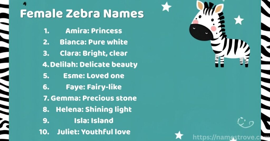 Female Zebra Names