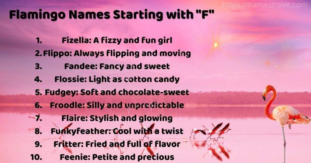 Flamingo Names Starting with F