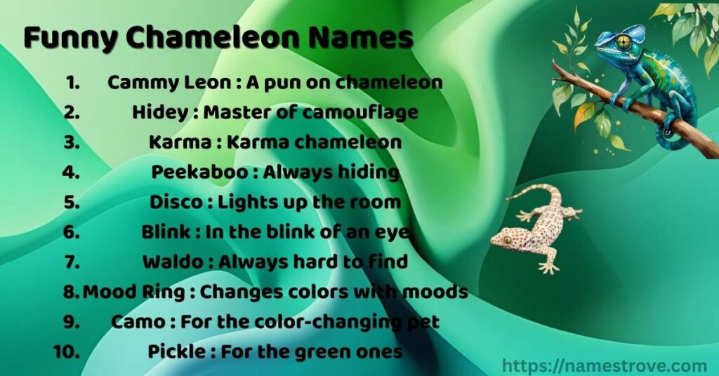Funny Chameleon Names