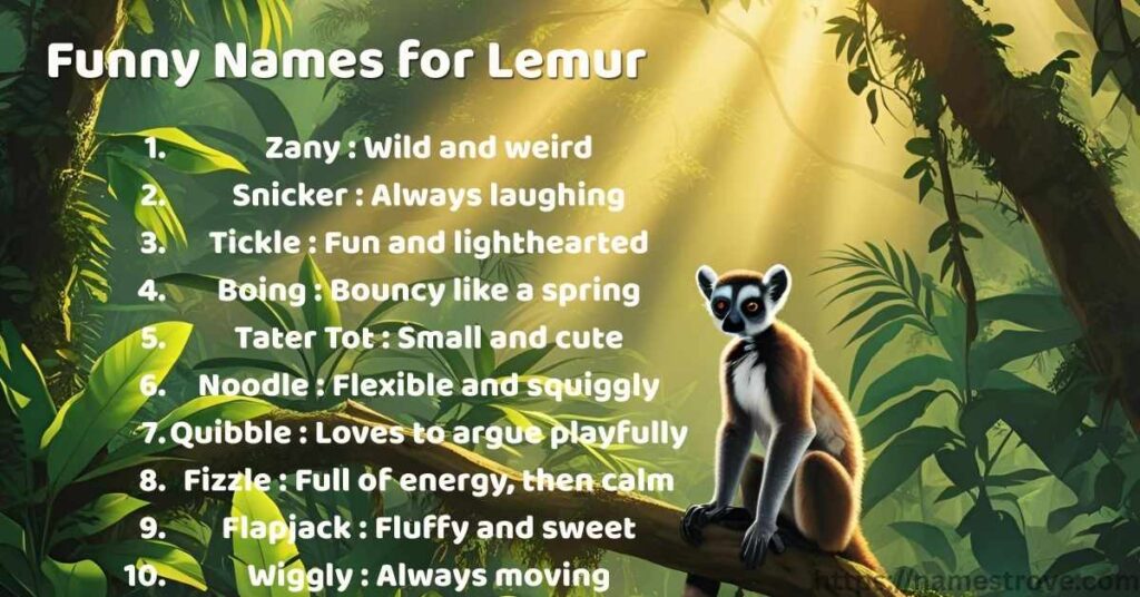 Funny Names for Lemur