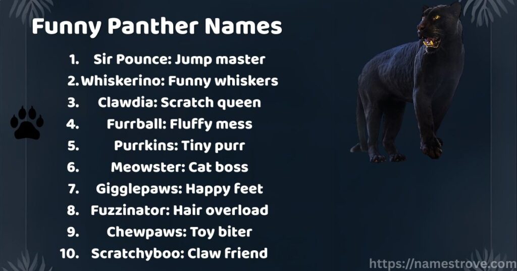 Funny Panther Names