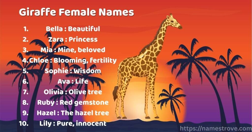 Giraffe Female Names