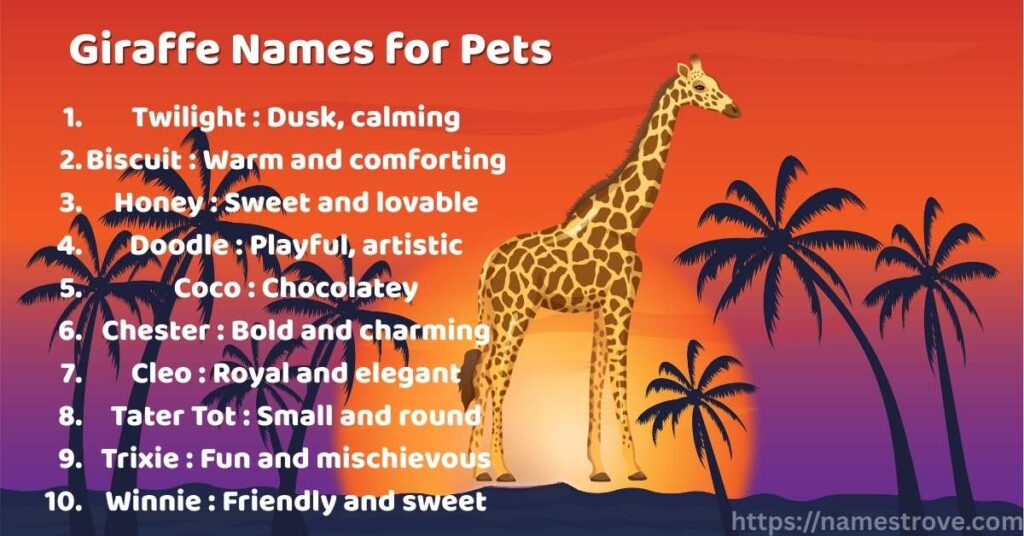 Giraffe Names for Pets