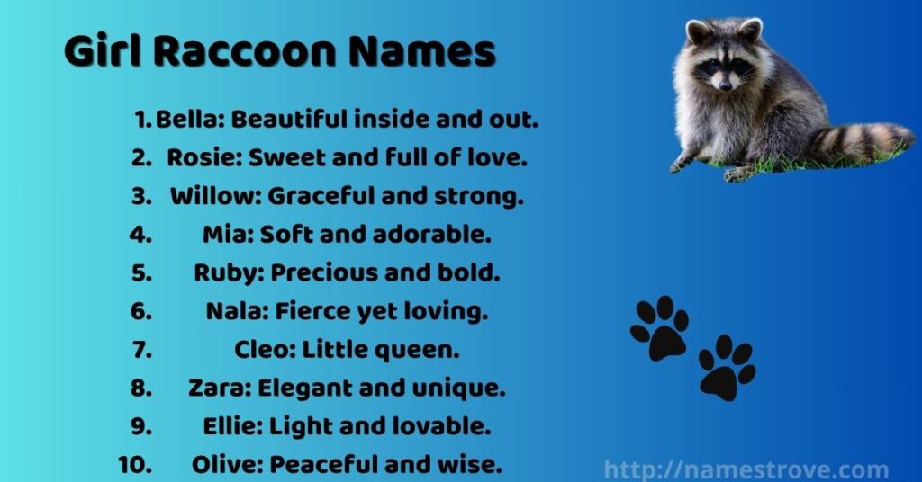 Girl Raccoon Names