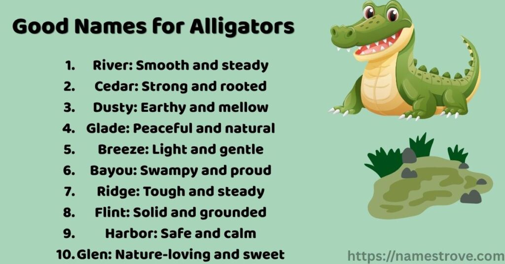 Good Names for Alligators
