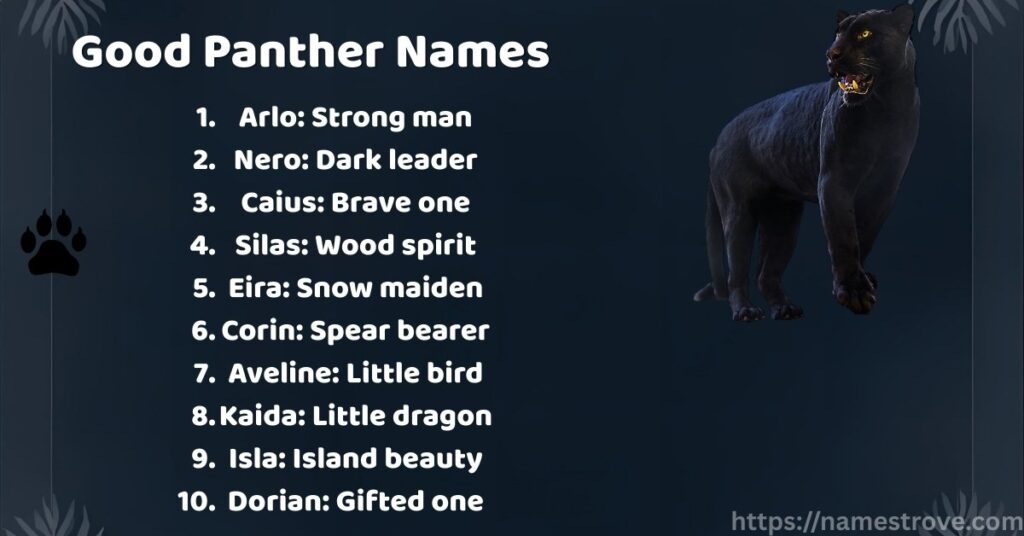 Good Panther Names