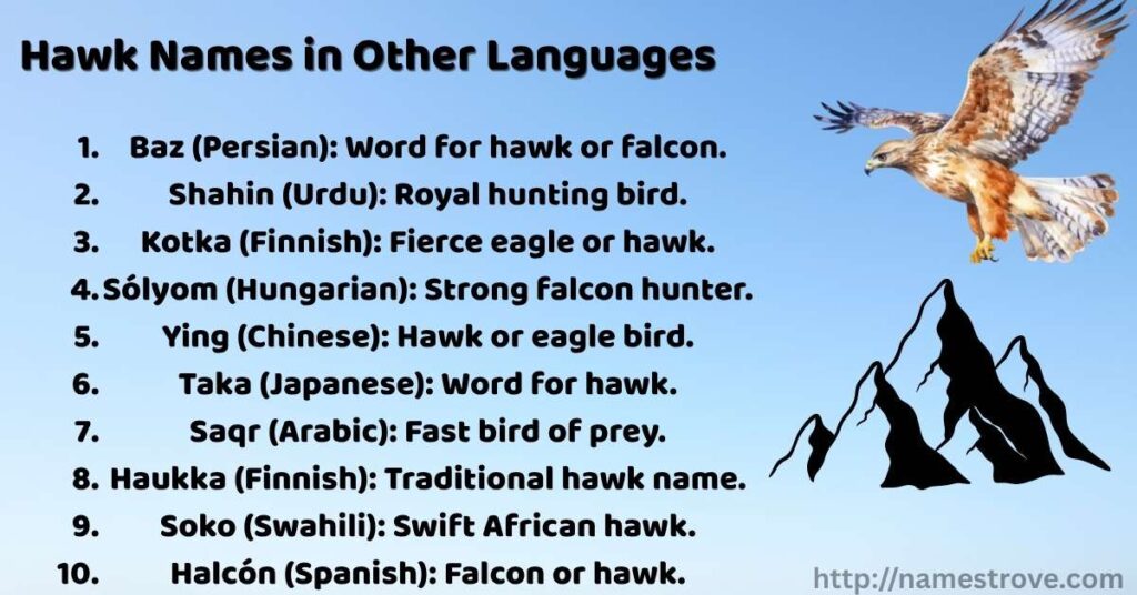 Hawk Names in Other Languages