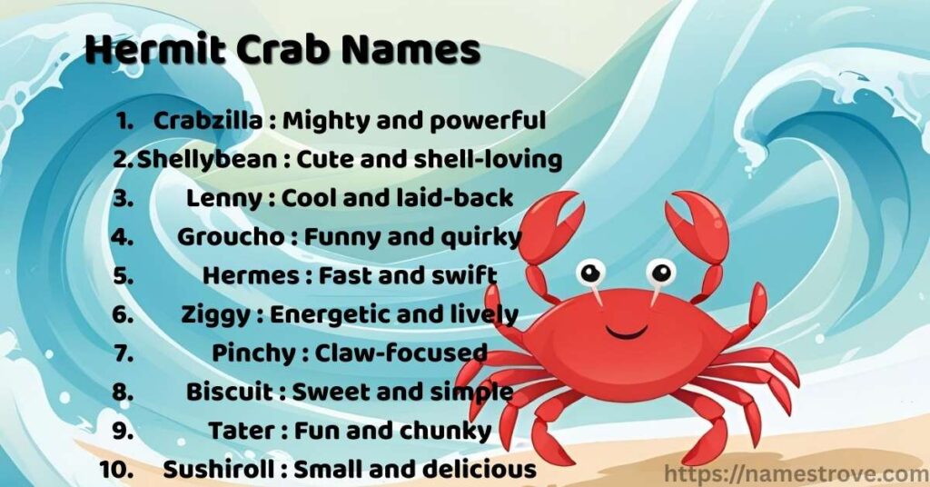Hermit Crab Names