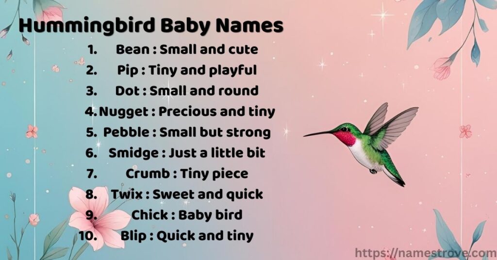 Hummingbird Baby Names