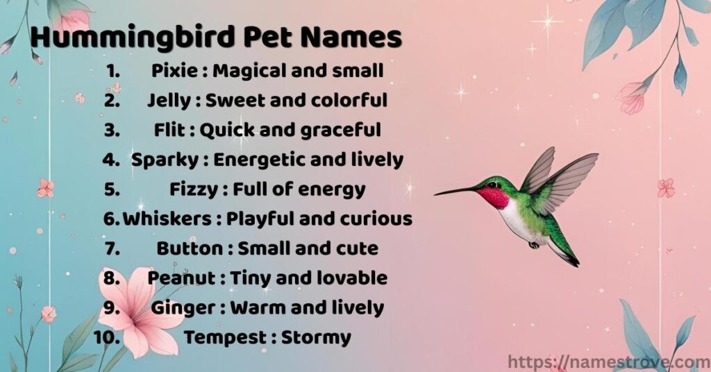 Hummingbird Pet Names