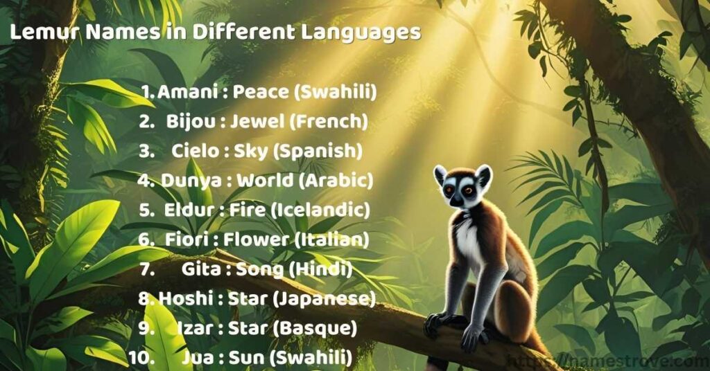 Lemur Names in Different Languages
