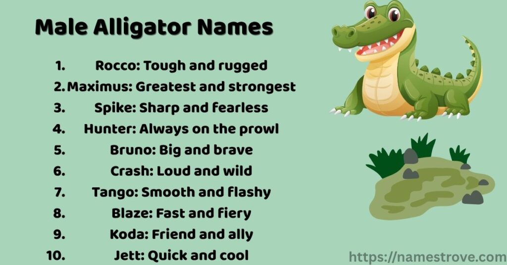 Male Alligator Names