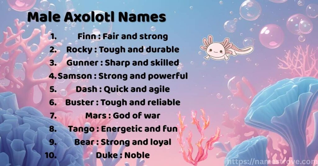 Male Axolotl Names