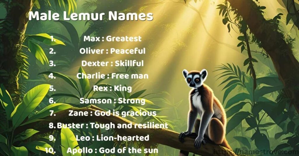 Male Lemur Names