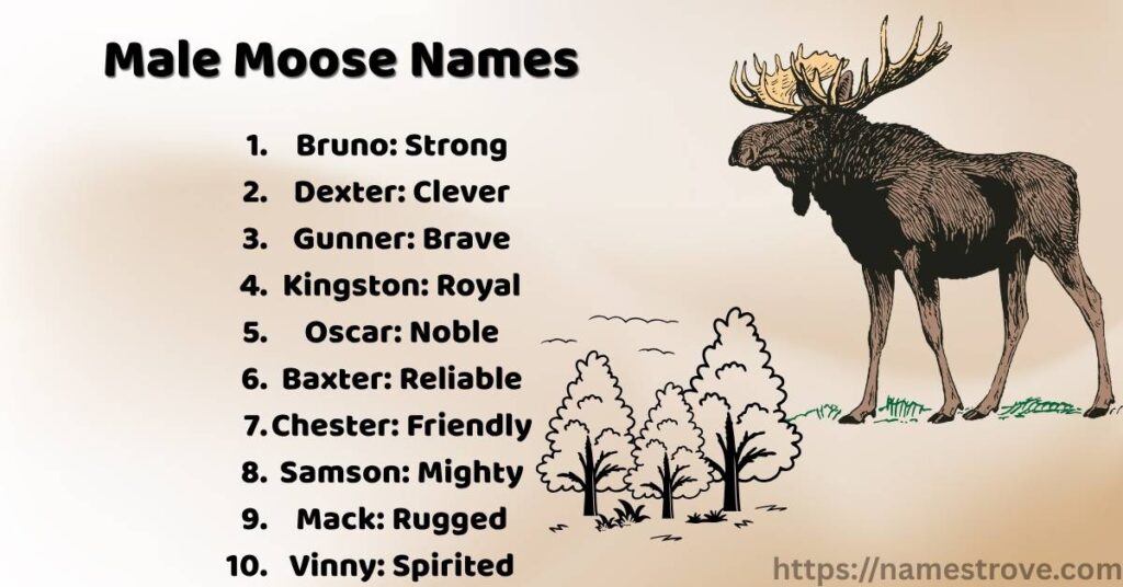 Male Moose Names