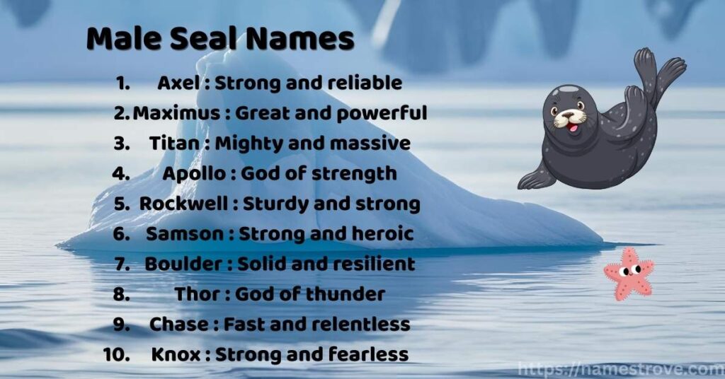Male Seal Names