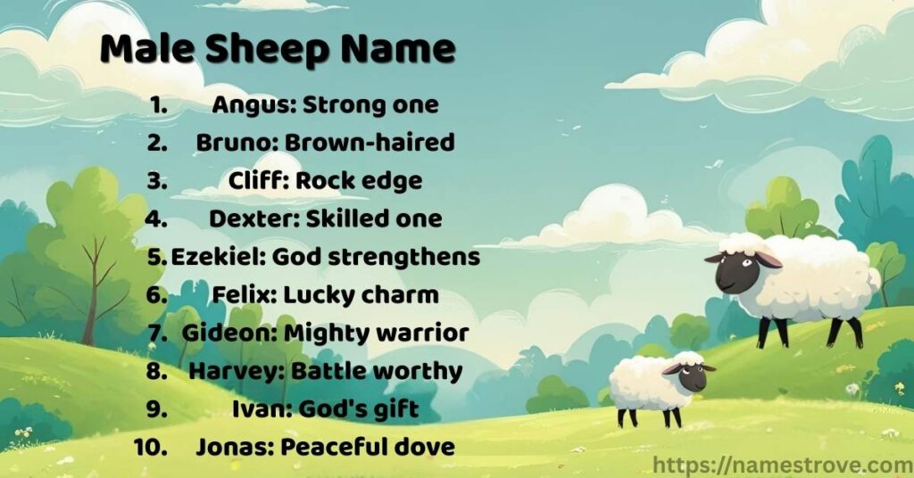 Male Sheep Name