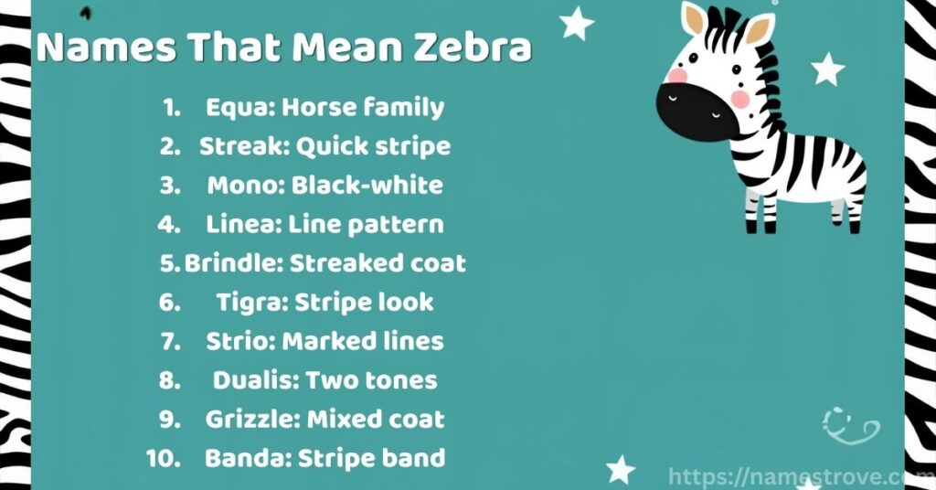 Names That Mean Zebra