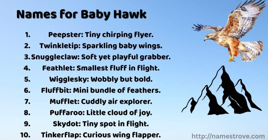 Names for Baby Hawk