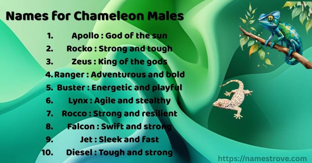 Names for Chameleon Males