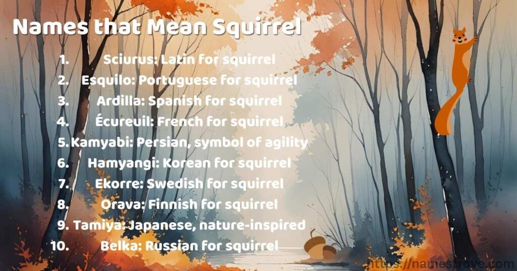 Names that Mean Squirrel