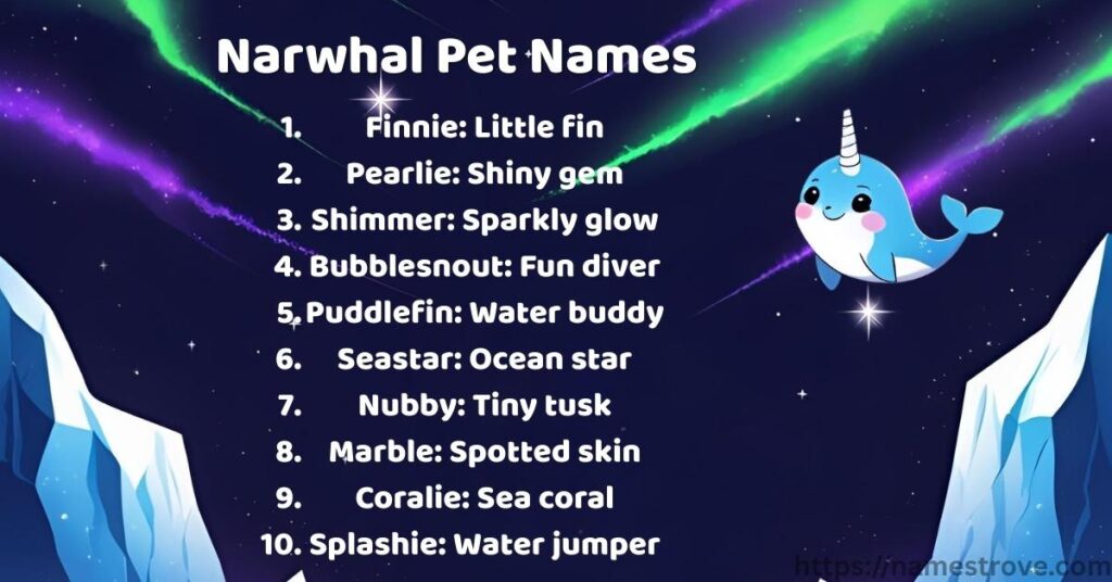 Narwhal Pet Names
