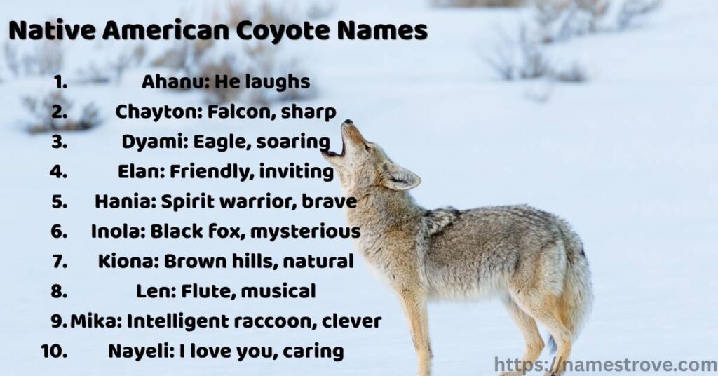 Native American Coyote Names