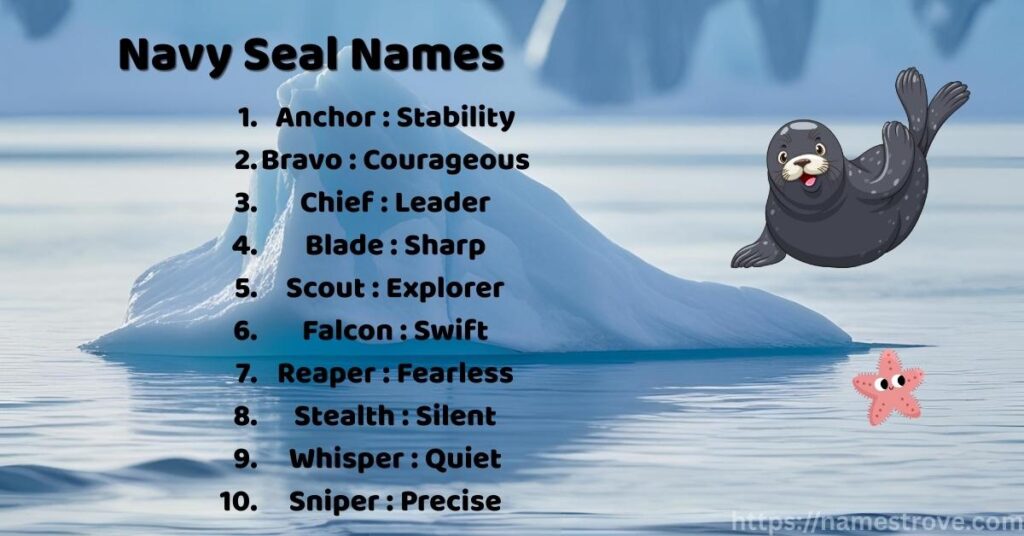 Navy Seal Names