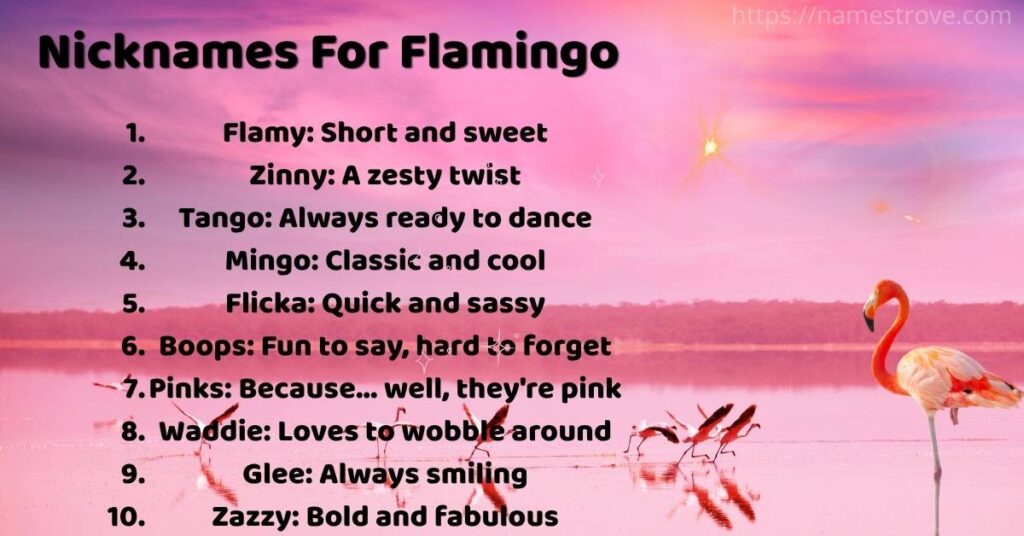Nicknames For Flamingo