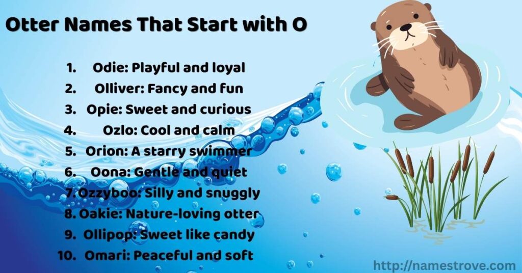Otter Names That Start with O