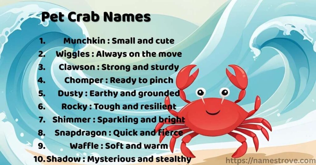 Pet Crab Names