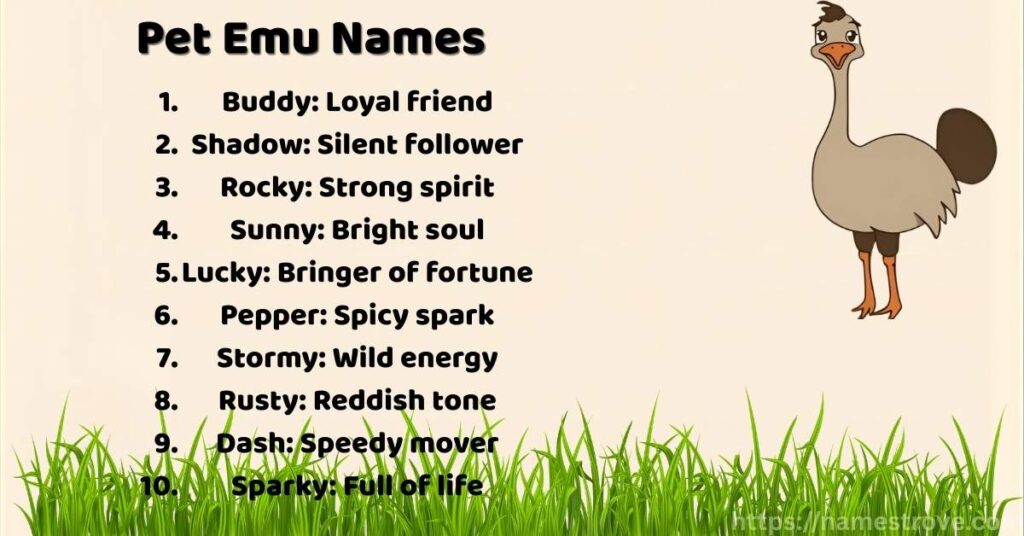 Pet Emu Names