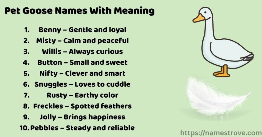 Pet Goose Names With Meaning