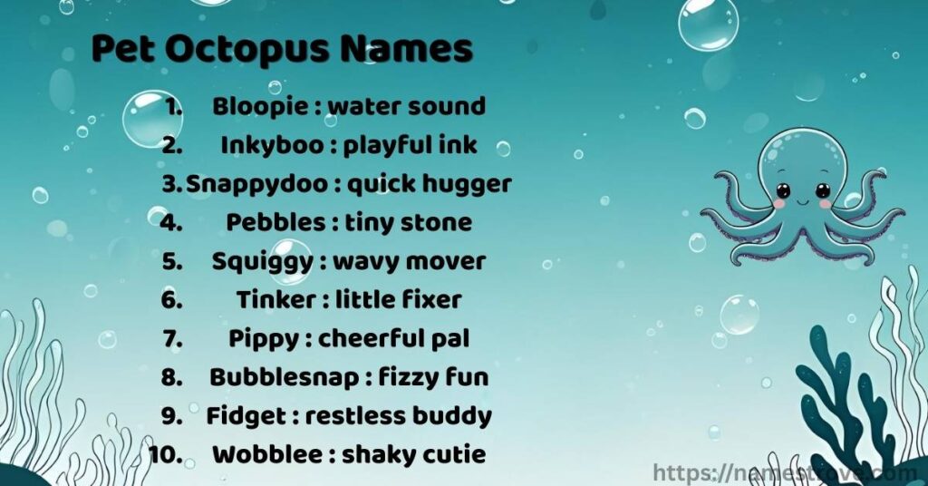 Pet Octopus Names