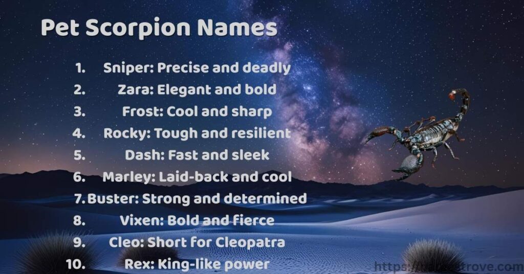 Pet Scorpion Names