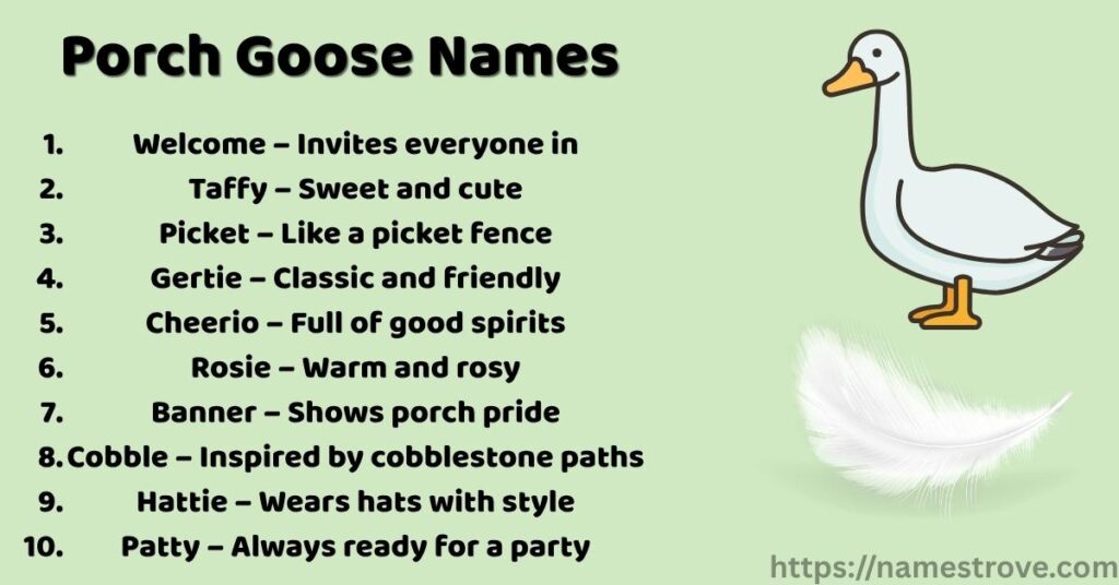 Porch Goose Names