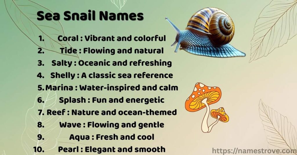 Sea Snail Names