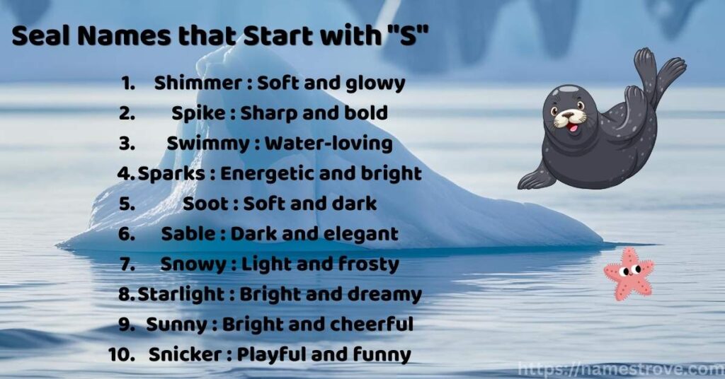 Seal Names that Start with S